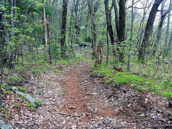 407 Trail